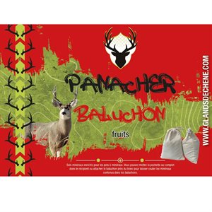 GLANDS DE CHENE PANACHER BALUCHON FRUITS B001